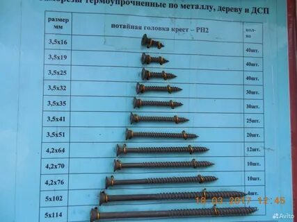 Глухарь размеры