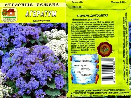 Семена цветов описание