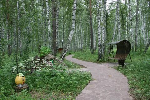 Сан березовая роща