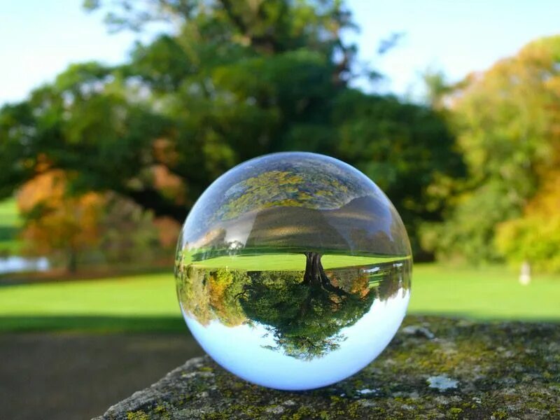 Шар стеклянный. Шар в природе. Мир в стеклянном шаре. Природа в стеклянном шаре.