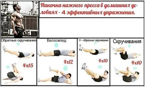 Упражнения для круговой тренировки. Круговые тренировки для сжигания жира. Упражнения для укрепления мышц живота. Тренировка для сжигания жира на животе. Упражнение для сброса жира с живота и боков.