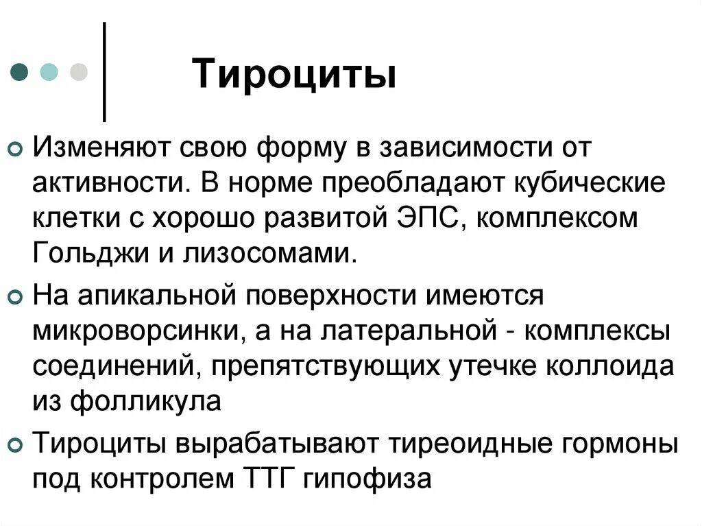 Тироциты. Функция тироцитов. Форма тироцита. Из чего развиваются тироциты. Фолликул тироцита