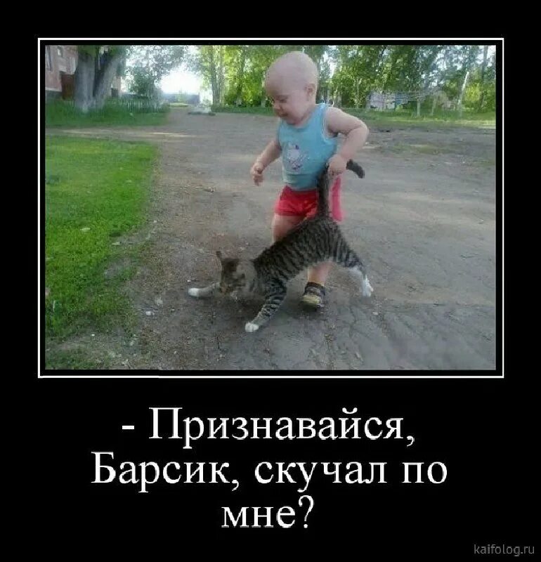 Скучаю приколы картинки. Признавайся всех я. Необычное признание в любви. Соскучилась картинки прикольные. Меня все спрашивают, какая любимая шоколадка.