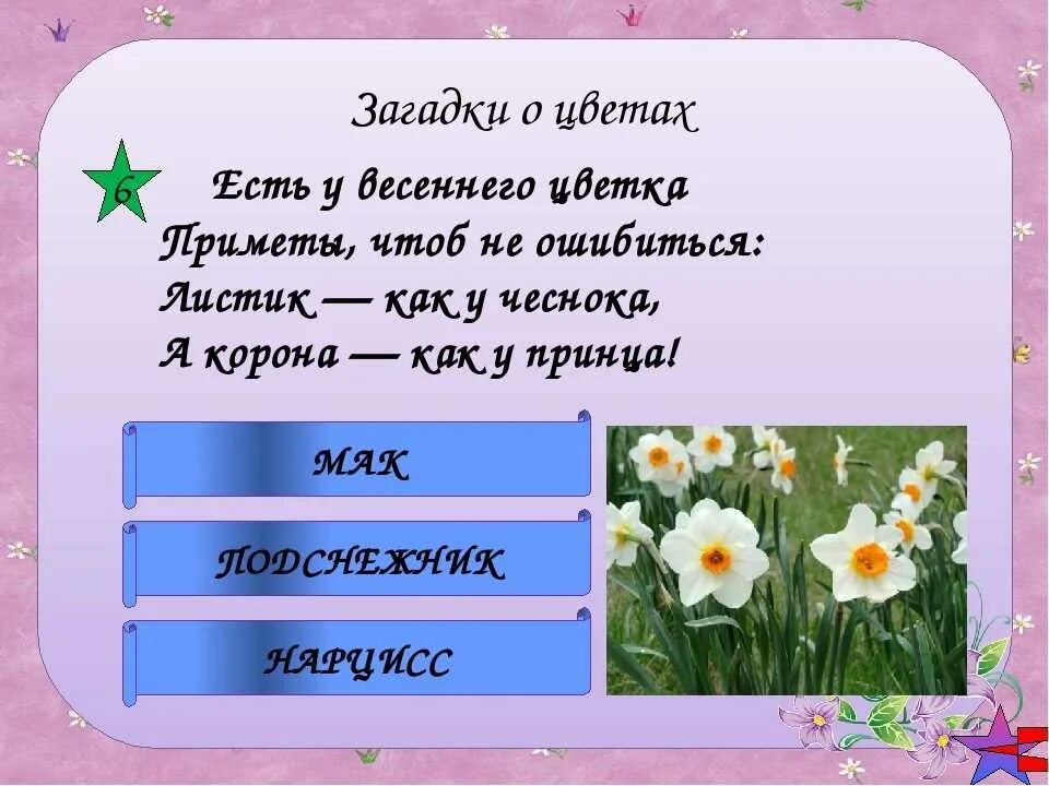 Интересные загадки о цветах. Интересные загадки про цветы. Цветочные загадки. Загадка ответ цветы для детей