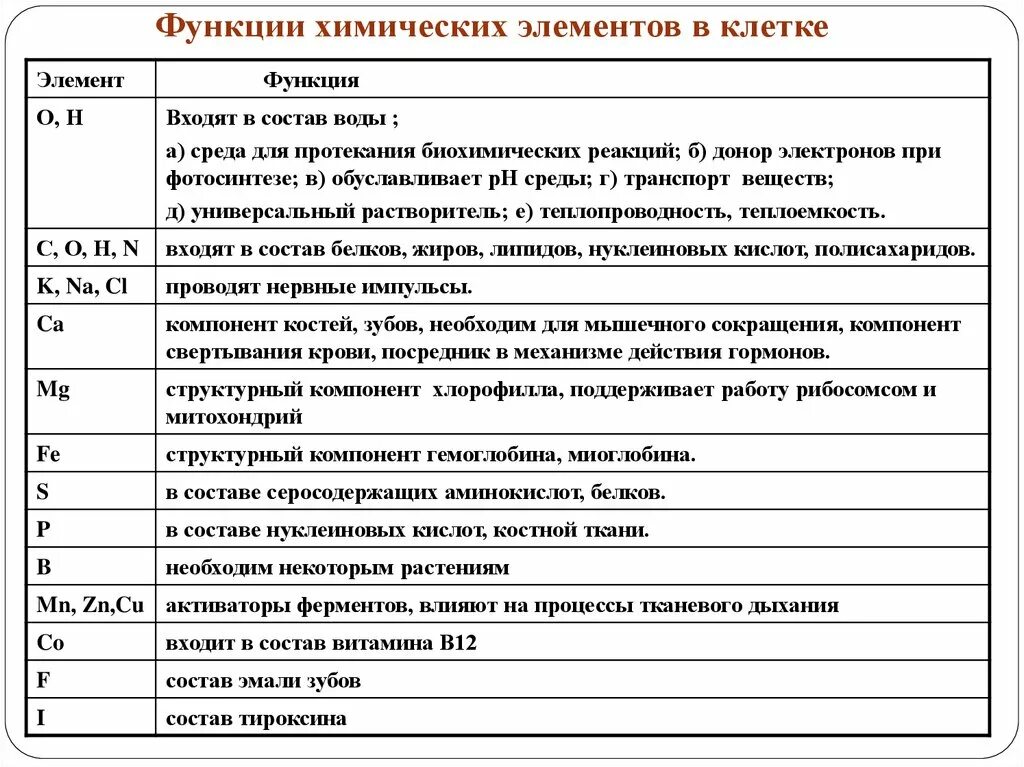 Элемент под функции. Химический состав клетки и их функции. функции химических элементов в клетке таблица по биологии 10 класс. функции элементов в клетке биология. биологически важные химические элементы клетки таблица 10 класс.