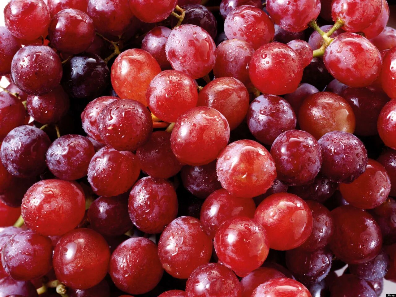 Red grape