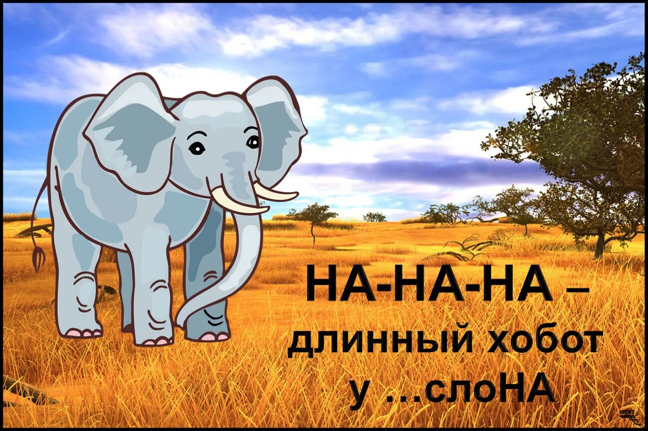 Длинный хоботок. Хобот длинный длинный у слона. длинный хобот. зов хобота. сколько см хобот у слона.