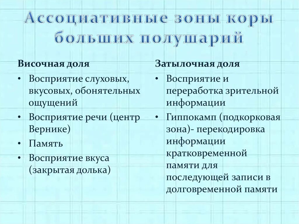 Ассоциативные зоны коры больших. Ассоциативные зоны коры больших полушарий. Ассоциативные зоны коры функции.