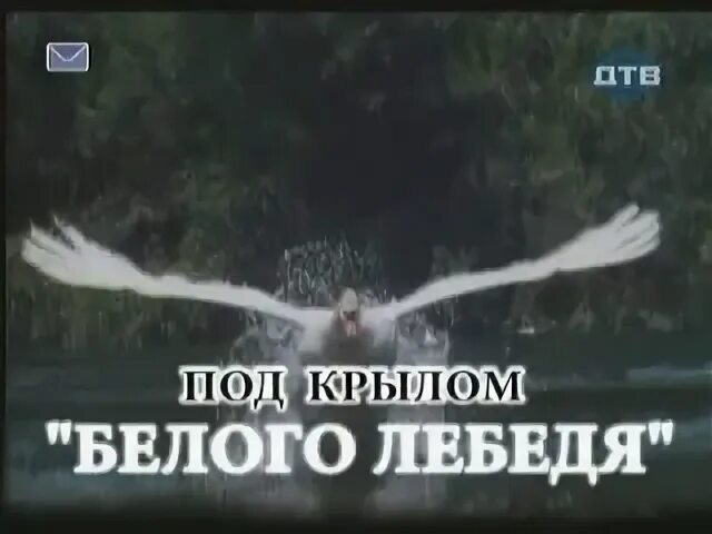 Смотрящий в белом лебеде
