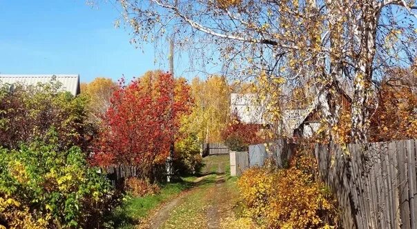 Garden Autumn garden on my ten-minutes way to work. Sommerfeldt Flickr