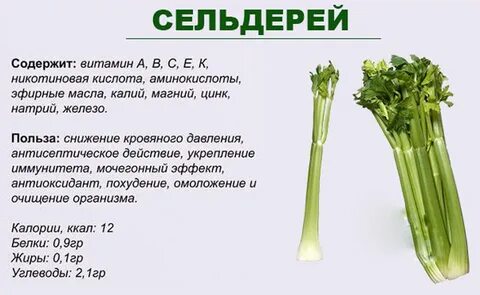 Польза пастернака для организма