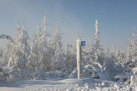 Ледяные столбы