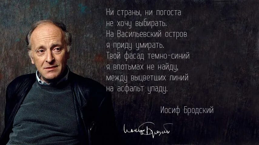 Ни страны ни погоста тема. Иосиф Бродский. Бродский цитаты. Бродский эпиграф. Политический взгляд Бродского.