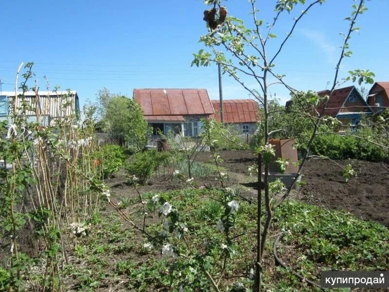 Садоводства медик. Сады медик омск. Дача в садоводстве медик бийск. План садоводство медик 2. Снт меланжист барнаул на карте.