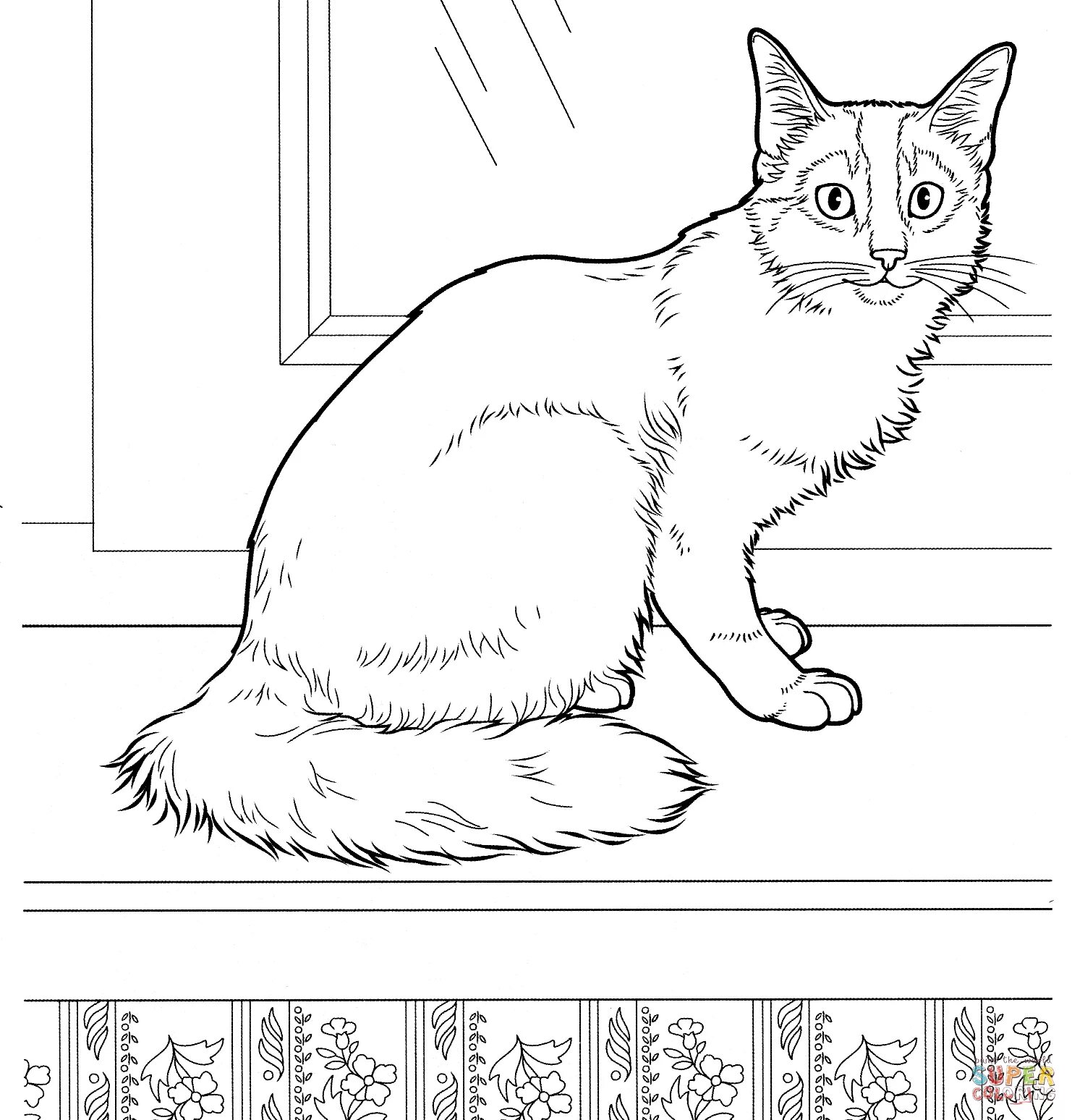 Кошка без цвета. Кошки. раскраска. домашние питомцы. раскраска. кошка для раскрашивания. раскраска домашняя кошка.