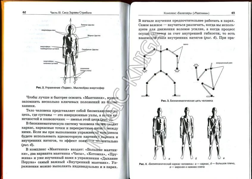 Первая славянская система гимнастики называется. Первая славянская система гимнастики называется