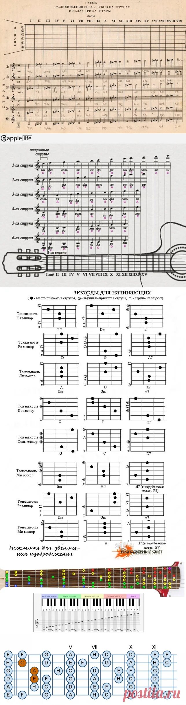 Расположение нот на гитаре 6. Нотный стан на гитаре 6 струн для начинающих. Ноты на гитарном грифе 6 струнной гитары. Расположение нот на грифе гитары 6 струн.