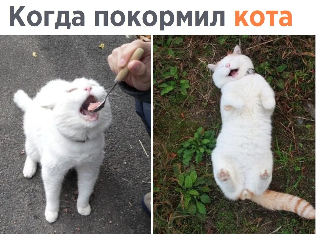 Хоть чуть чуть