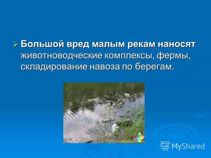 Влияние деятельности человека на экосистему моего города