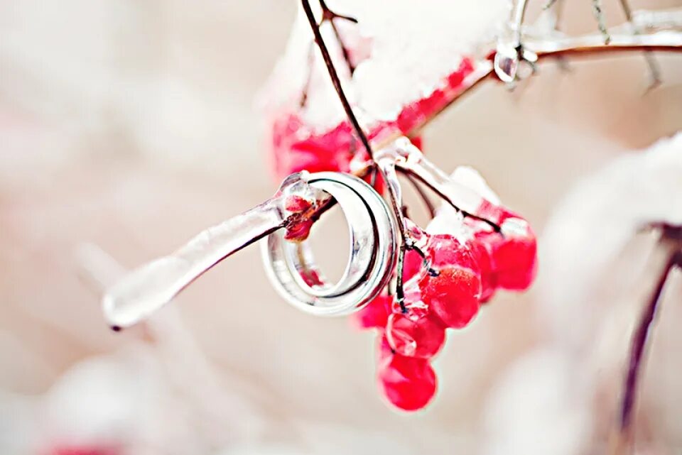 Winter ring. Зимние кольца. Winter ring. Winter ring. Winter ring.