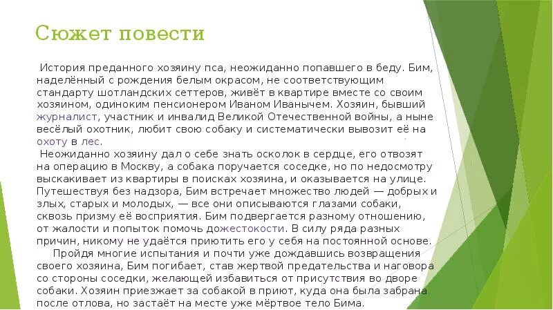 Содержание рассказа белый бим черное ухо. Краткий пересказ белый Бим черное ухо. Белый Бим чёрное ухо краткое содержание. Троепольский белый Бим черное ухо краткое содержание. Белый Бим чёрное ухо краткое содержание для читательского.