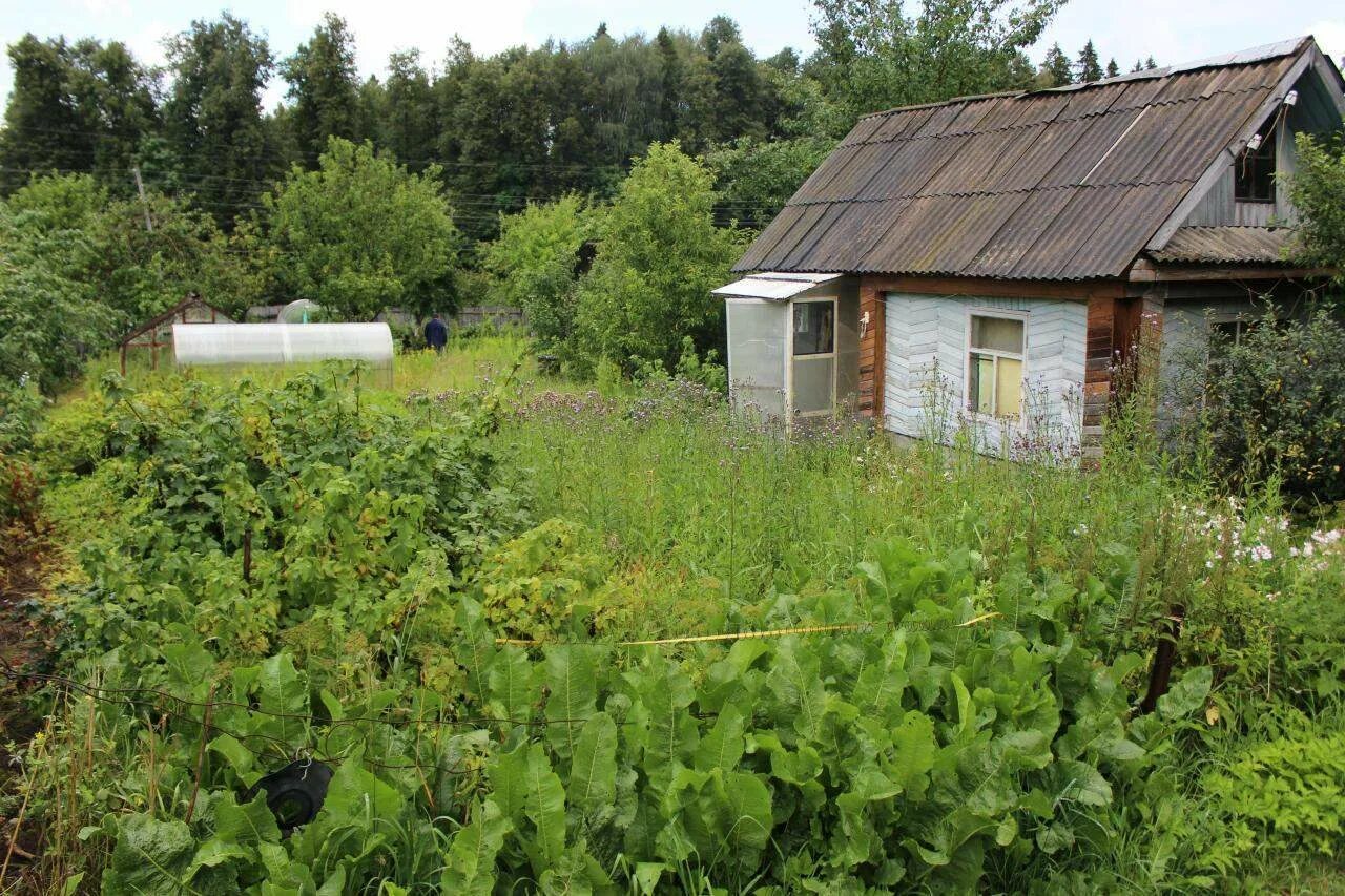 Огород в СНТ. Ижевск СНТ Камский. СНТ Прудовый Ижевск. Продается огород СНТ Вараксино Ижевск. Сайт снт ижевск