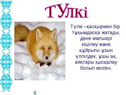 Француз эротикалық фантастикасын жүктеп алыңыз