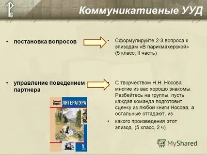 Сформулируйте два вопроса