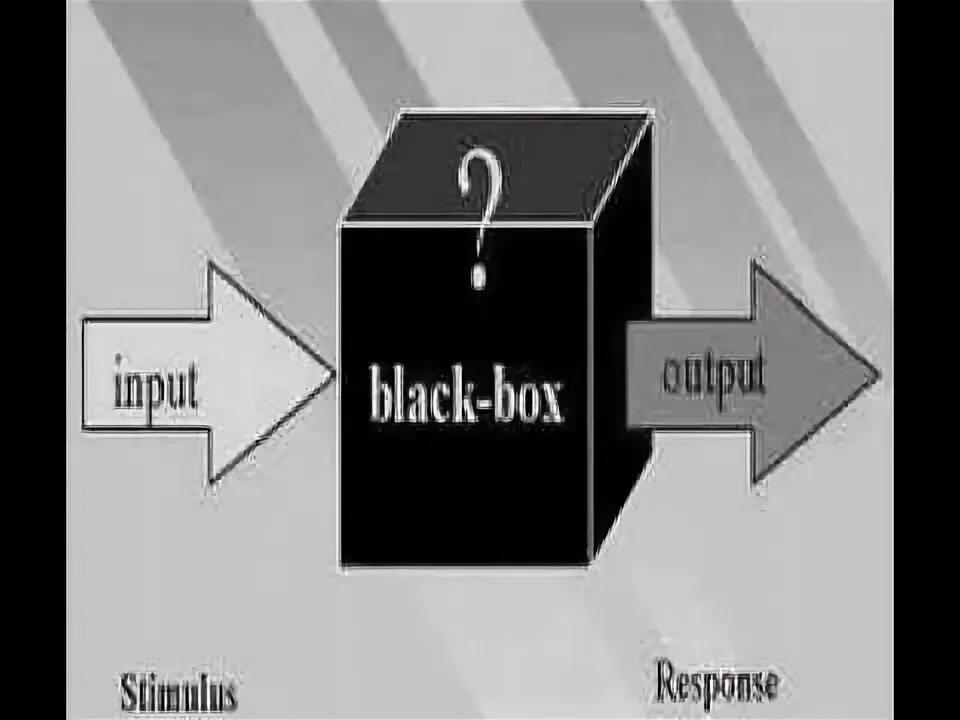 Черный ящик. Кибернетика черного ящика. Принцип черного ящика. Тестирование черного ящика.