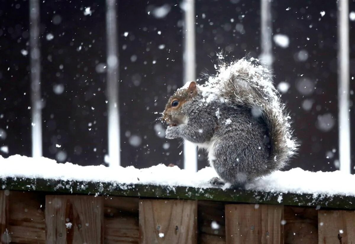 Брюнетка и снег. Девушка в снегу. Девушка подкидывает снег. Замерзшая девушка. Надпись на снегу люблю.