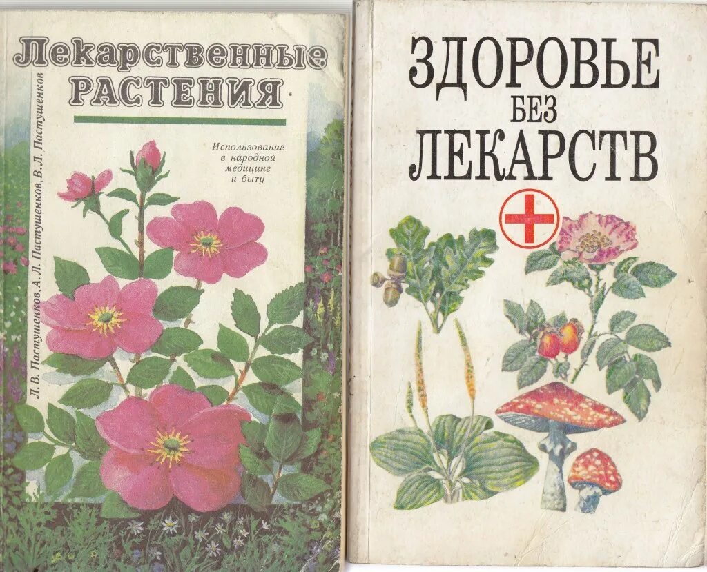 Книги про травы. Растения здоровья книга. Книги травинки. Книги про травы чудо. Советская детская книга про растения.