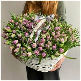 Тюльпаны пенза