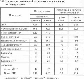 Сколько комбикорма для свиней