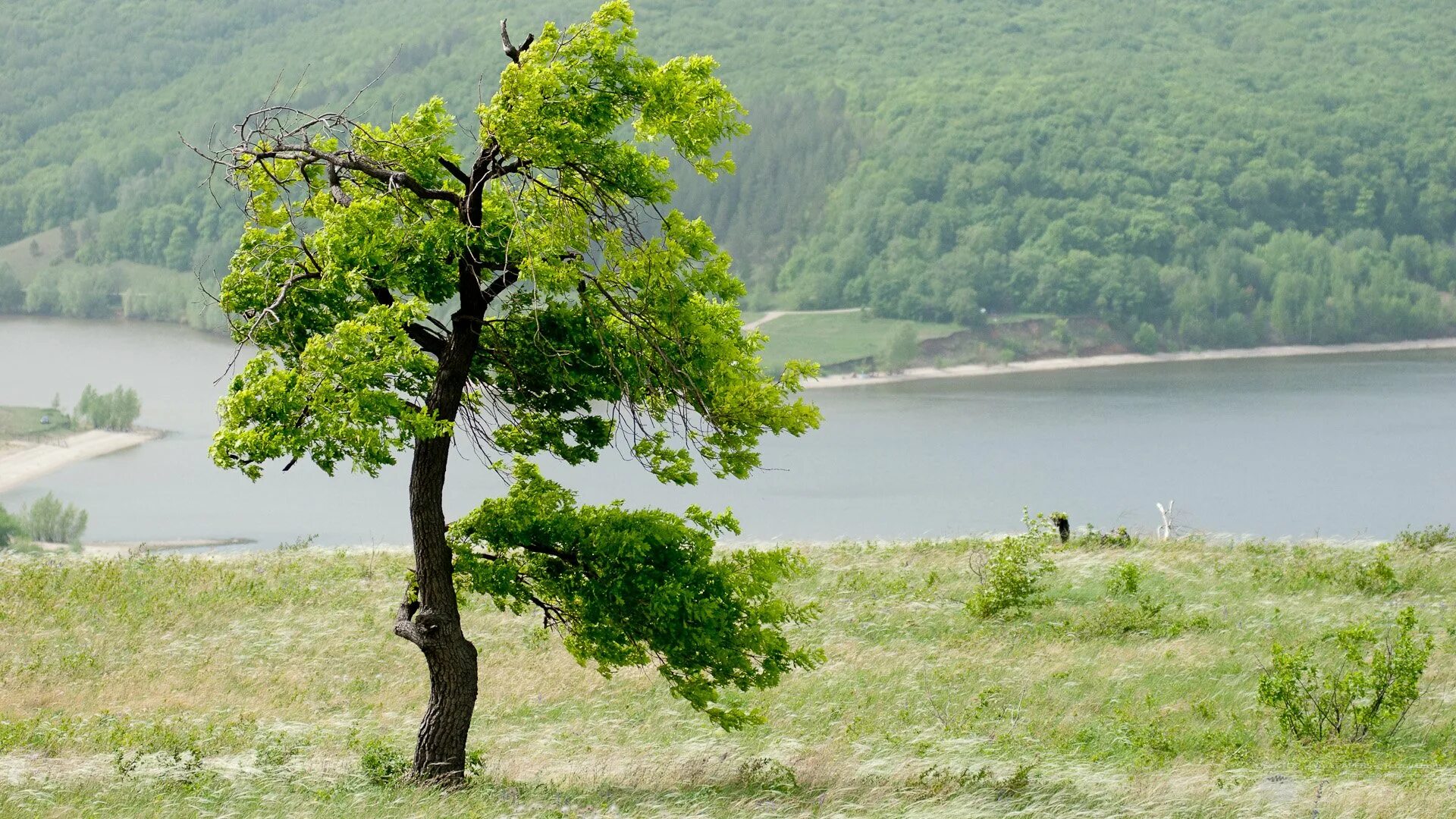 самарский край. пейзажи самарской области. ширяевские горы самара. за свое за родное самарская область. шаблон презентации похвистневский край.