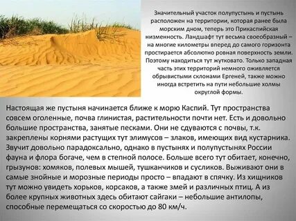 Природная зона пустыни почвы