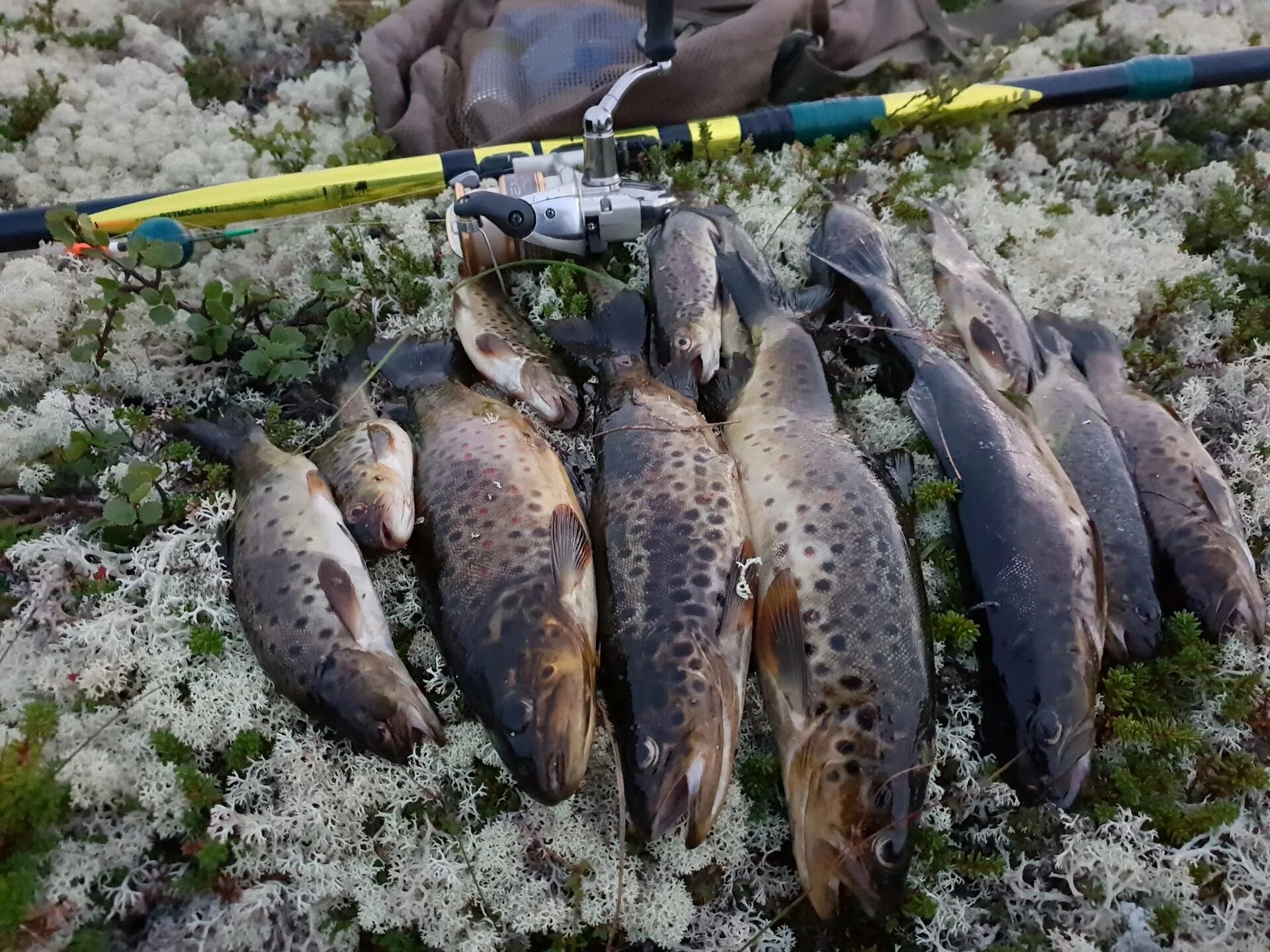 Рыбалка на Кольском полуострове. Морская рыбалка на Кольском полуострове. Мурманск Кольский полуостров рыбалка. Река Териберка рыбалка.