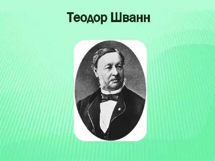 Т шванн сформулировал