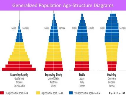 Population pyramid