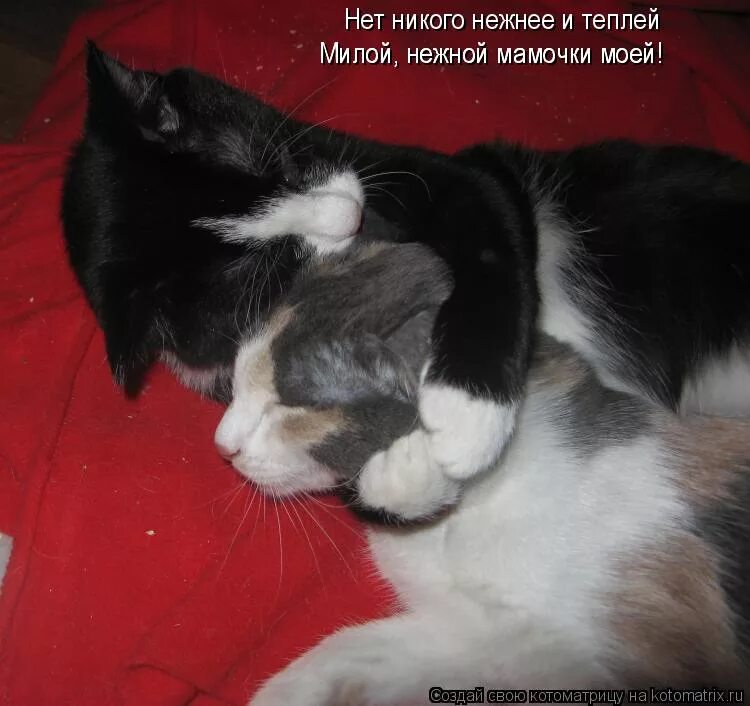 Есть у тебя никого нет