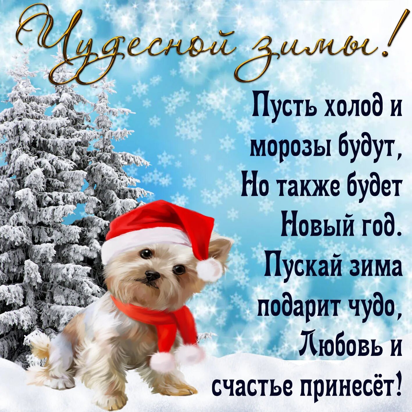 Пожелания с днем нового года. Зимние поздравления. Зимние открытки с пожеланиями. Поздравление с первым днем зимы. Красивые зимние поздравления.