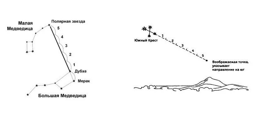 Какой тип характерен для медведицы. Ориентирование по звездам в Южном полушарии. Ориентирование по звездам Южный крест. Ориентирование по звездам в Северном полушарии. Южный крест Созвездие схема.