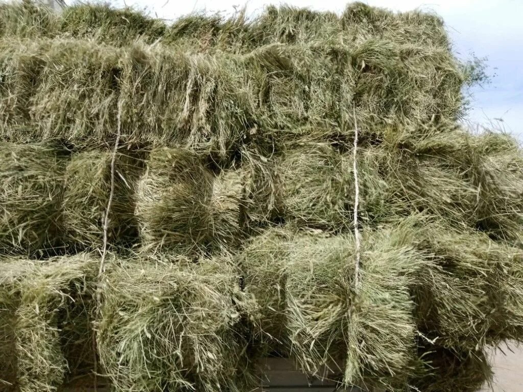 Скирда омёт копна. Сено 200 кг тюки. Сено в рулонах в алматинской области. Сено в тюках по 20-25кг. Куда продать тюки.