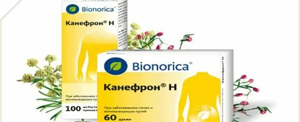 Канефрон упаковка. Таблетки для почек канефрон. Канефрон капсулы. Канефрон капли. Таблетки от песка в почках.