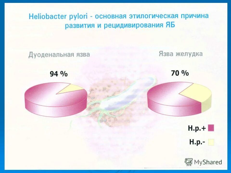 Сырые яйца при язве желудка. Актуальность 12 перстной кишки диаграмма заболеваемости. Актуальность 12 перстной кишки диаграмма заболеваемости 2017 года.