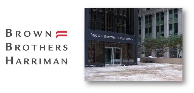 Brotha brown. фото отиле. Brother brown. Brother brown. вино бразерс.