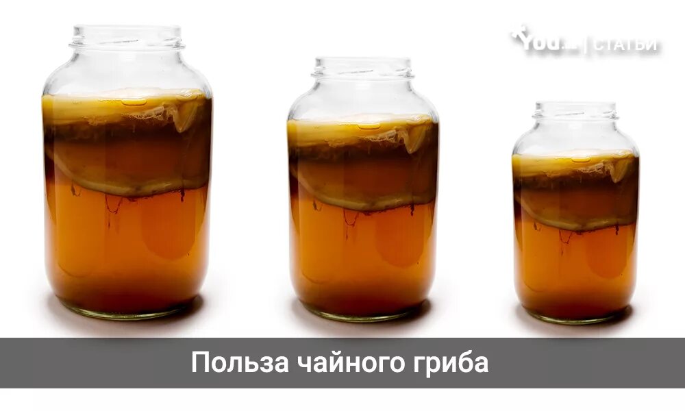 Можно ли чайный гриб при диабете. Чайный гриб при артрите. чайный гриб польза для похудения. чайный гриб при подагре. чем полезен чайный гриб для похудения.