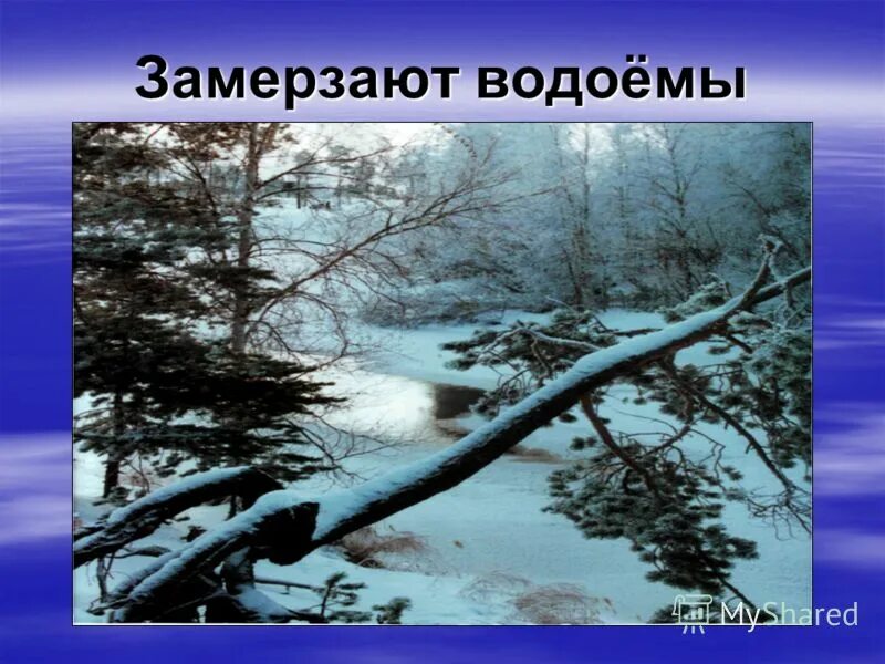 Изменения в природе зимой. Сезонные изменения зима. Сезонные изменения в природе зима. Сезонные изменения в неживой природе зимой. Изменения в природе зимой 5 класс биология