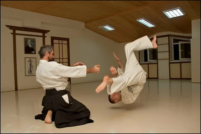 Айкидо в реальном бою. Айкидо против. Каратэ айкидо. Айкидо против карате реальный бой. Разница между айкидо и тхэквондо.