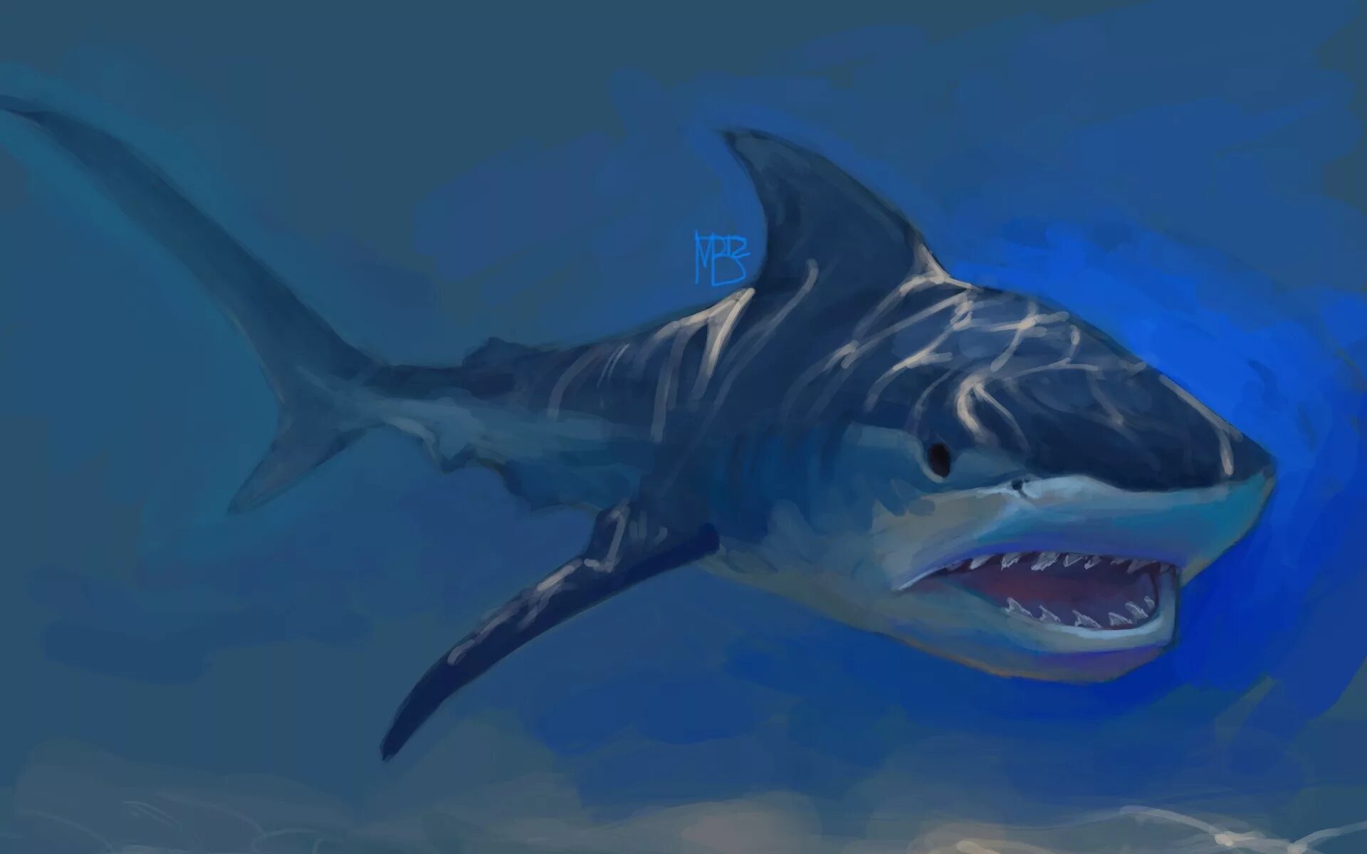 Акула МЕГАЛОДОН. МЕГАЛОДОН акула монстр. Большая белая акула кархародон. Rekin 3d