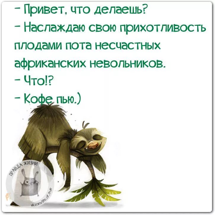Привет как дела как работа